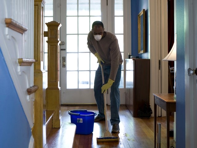 Preparing for pest control: what to expect during a service visit?